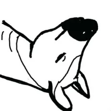 岡ぱや