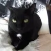 須能黒太