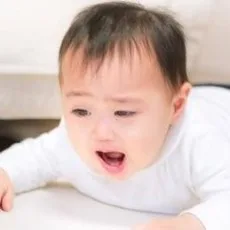 直樹手水鉢