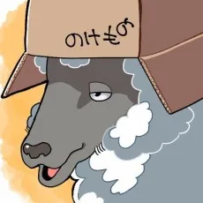 羊箱
