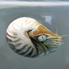 石蕗 永地