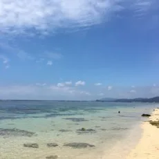 三葉