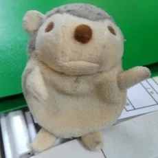 龍翠