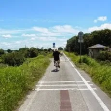 犬亥
