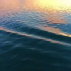 新八角