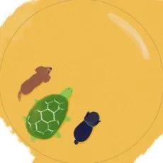 近藤こころ