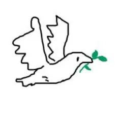 嘿白鸽儿