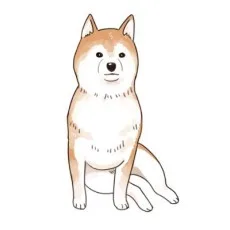 柴日和