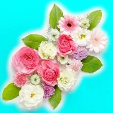 葉月クロル