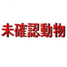 柊遊馬