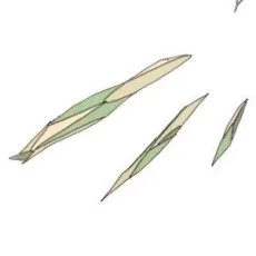 赤羽ぜろ
