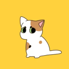 미갑