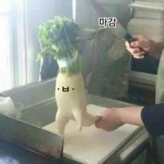 해무리