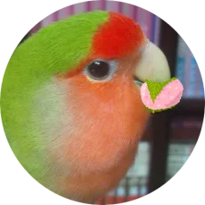 工藤あきら
