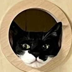 송미