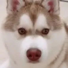 签子