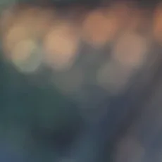 도야