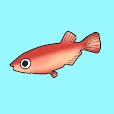 海野久遠