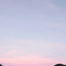 소매