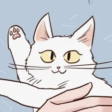 대지