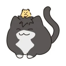 타이밍