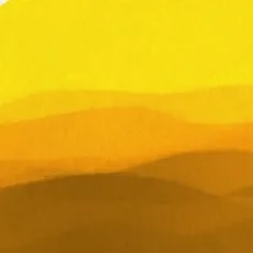 MT