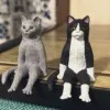 槙島ギン