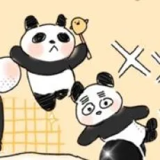 DDD面包包面