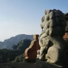 罗霸道