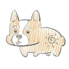 해시