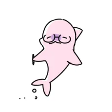 돌핀
