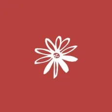 夏のティー