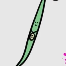 さやいんげん