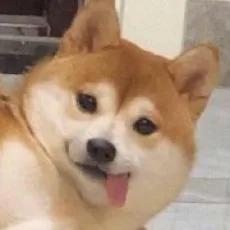 MOMO怪