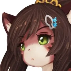 着込み人
