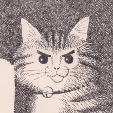 菅原亮きん