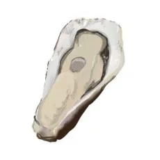飯野健太郎