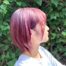あすかいくに