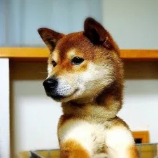 笠井雄太