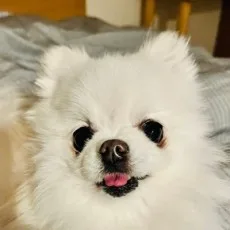 신서록