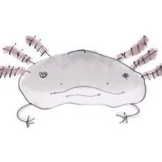 しまな央