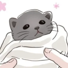 빽오