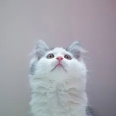 두리