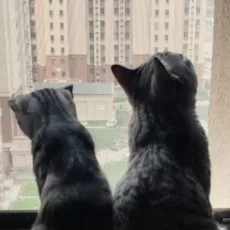 十月