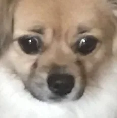 鼻涕
