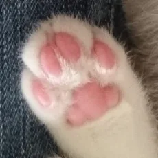 一ノ谷鈴