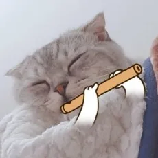 진돌