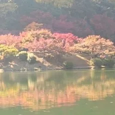 小賀いちご