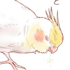 空まめ