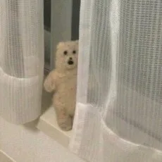 얼초